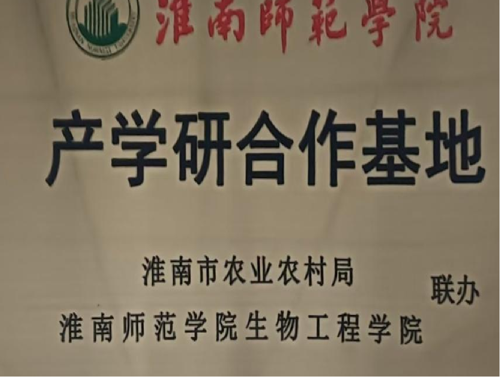 荣誉7