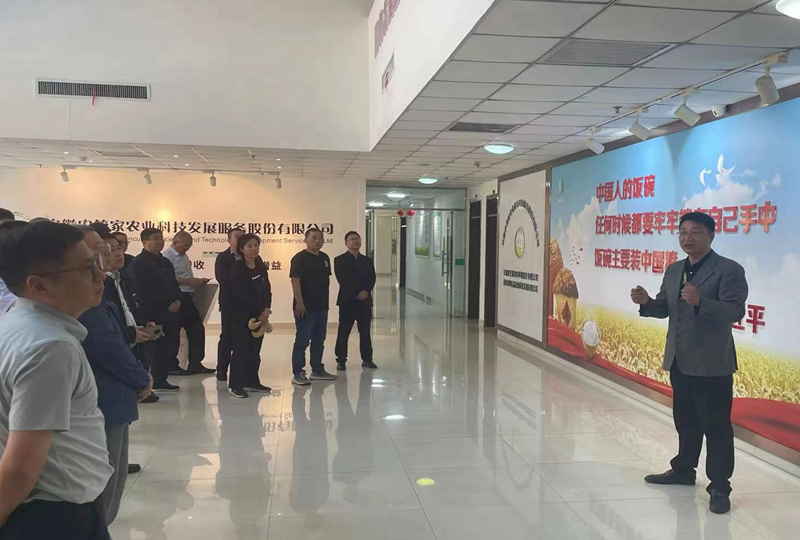 新闻5 新闻5