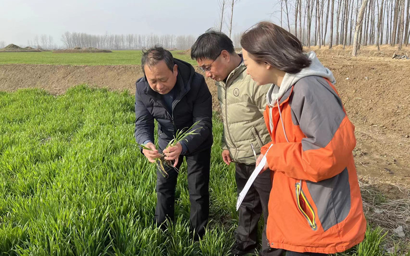 农业大托管智库专家为托管种植大户传经送宝