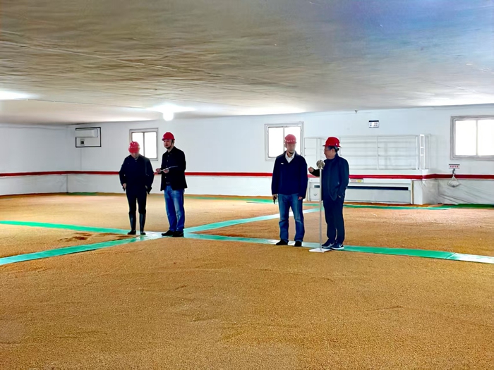 储备公司2025年省级储备小麦轮换工作通过验收